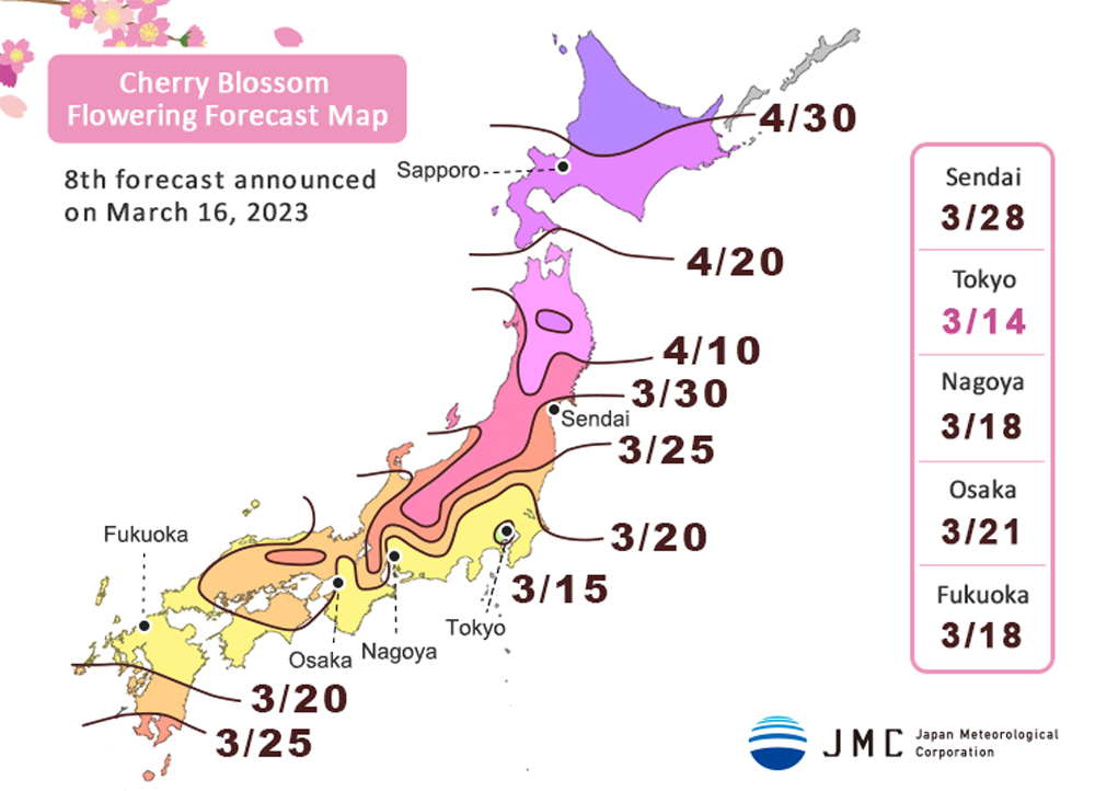 Cherry Blossom Season Japan 2024 Dates - Effie Gilberte