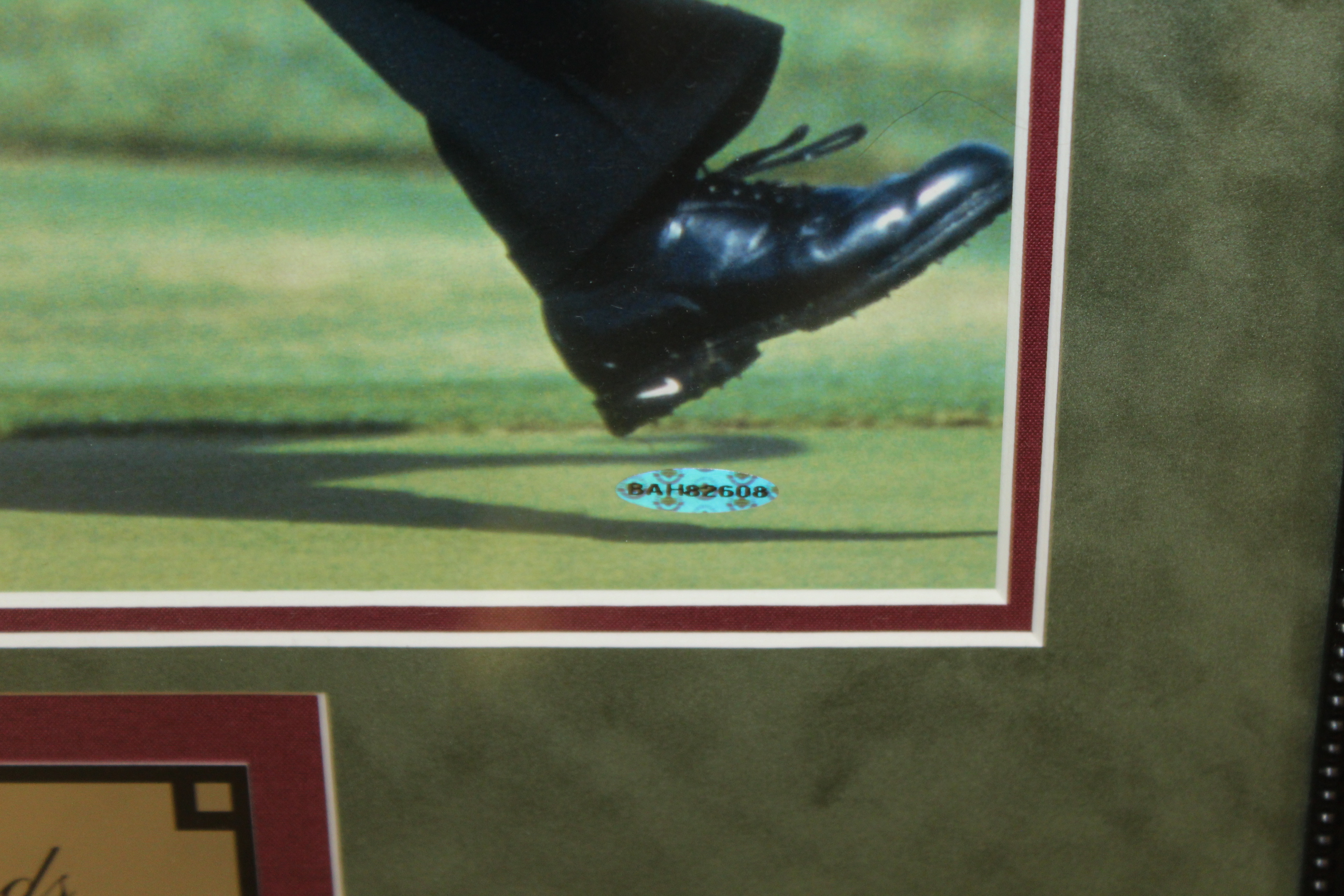 Lot Detail - Tiger Woods Signed 'Fist Pump' Oversize Photo - Framed UDA